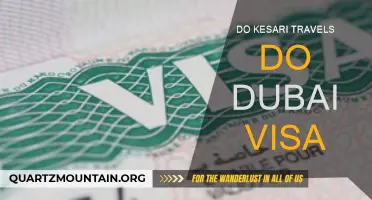 Understanding Kesari Travels' Process for Obtaining a Dubai Visa