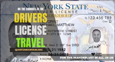 Exploring the Impact of Changes to the Driver's License on Travel Regulations