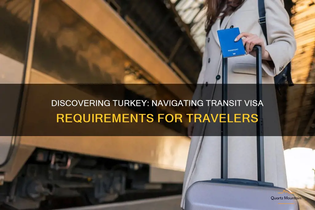 do travel through turkey requires transit visa