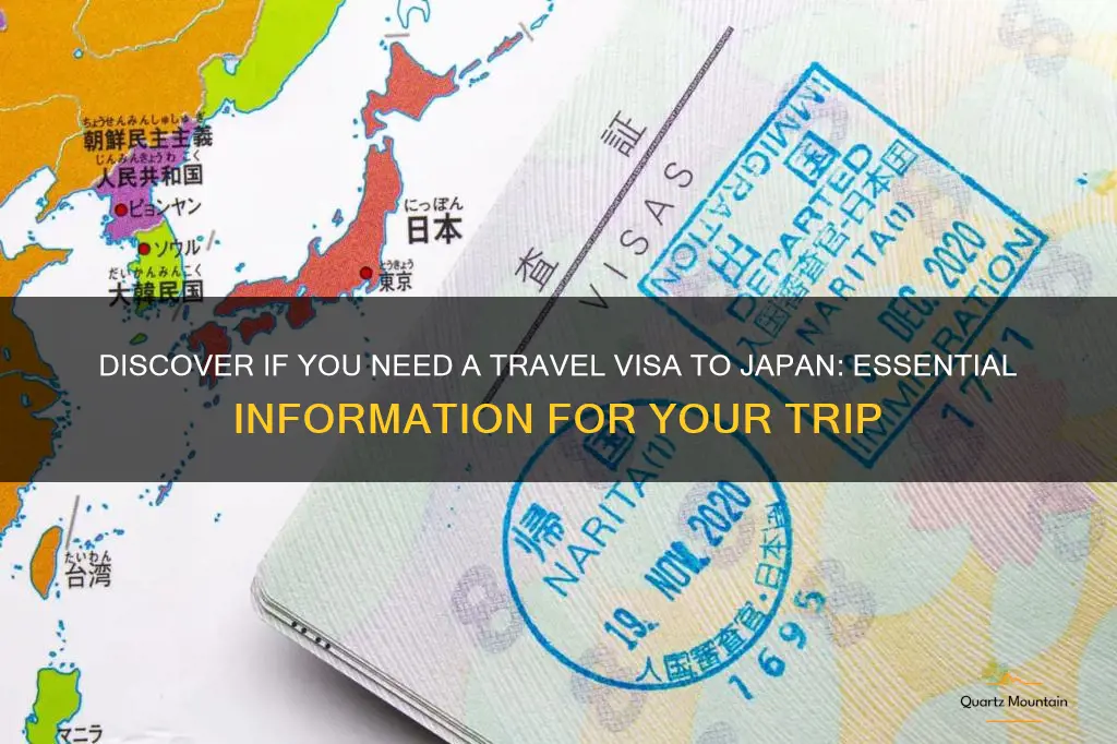 do you have a travel visa to japan