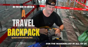 Do You Really Need to Check In a Travel Backpack?