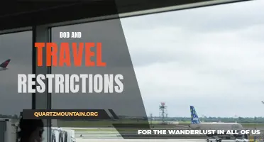 How Travel Restrictions Impact the Department of Defense