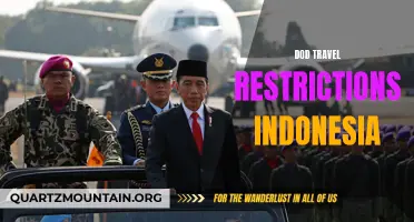 Understanding the Current Travel Restrictions for DoD Personnel in Indonesia