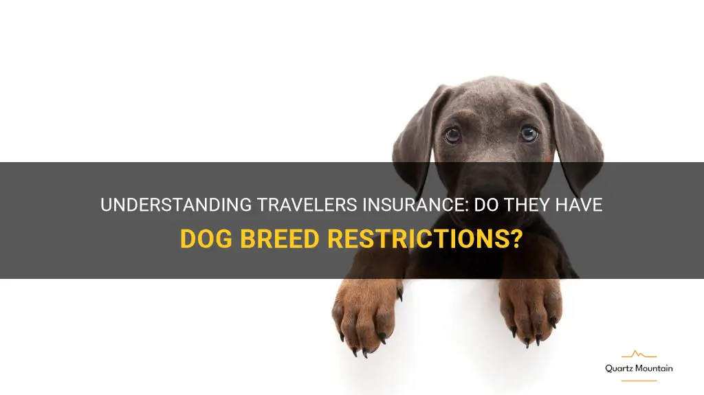 does travelers insurance have dog breed restrictions