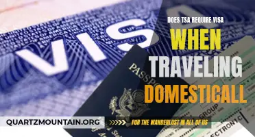 Does the TSA Require a Visa for Domestic Travel in the United States?