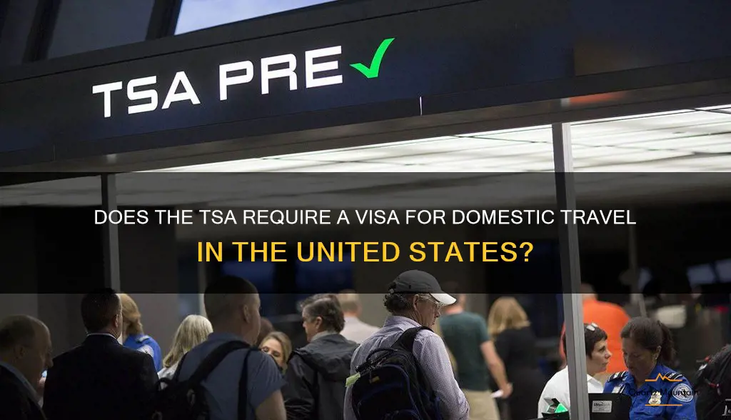 does tsa require visa when traveling domestically