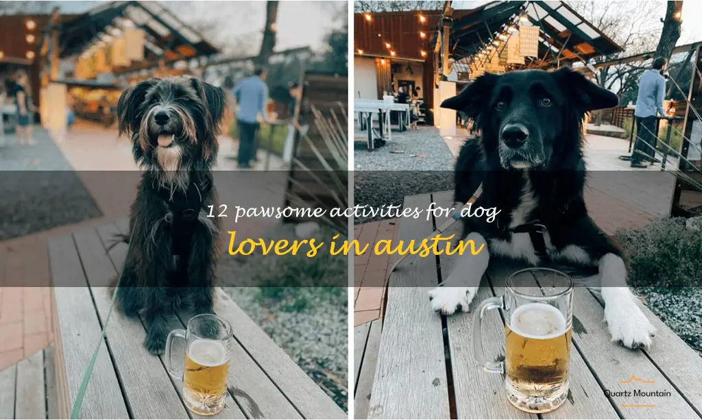 dog friendly things to do in austin