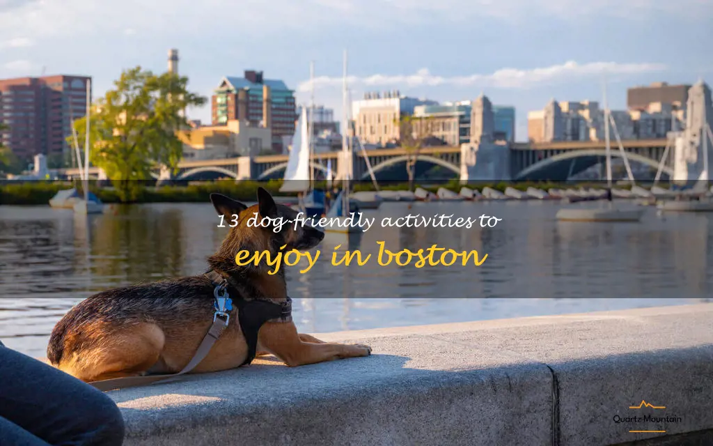 dog friendly things to do in boston