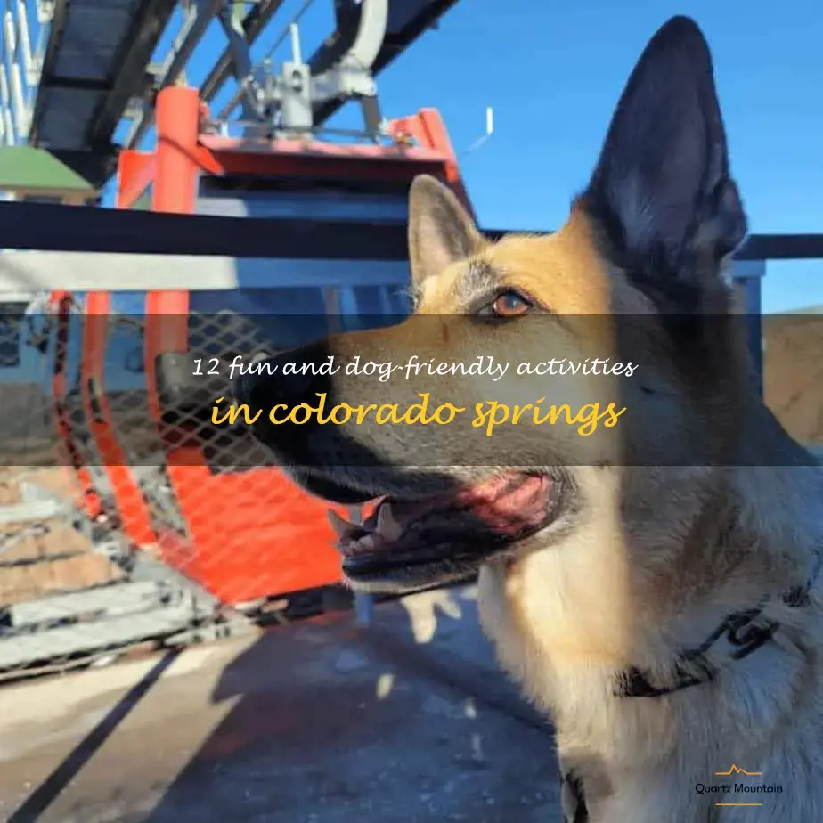 dog friendly things to do in colorado springs
