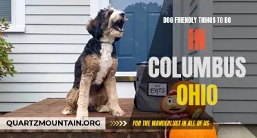 12 Dog Friendly Things to Do in Columbus Ohio