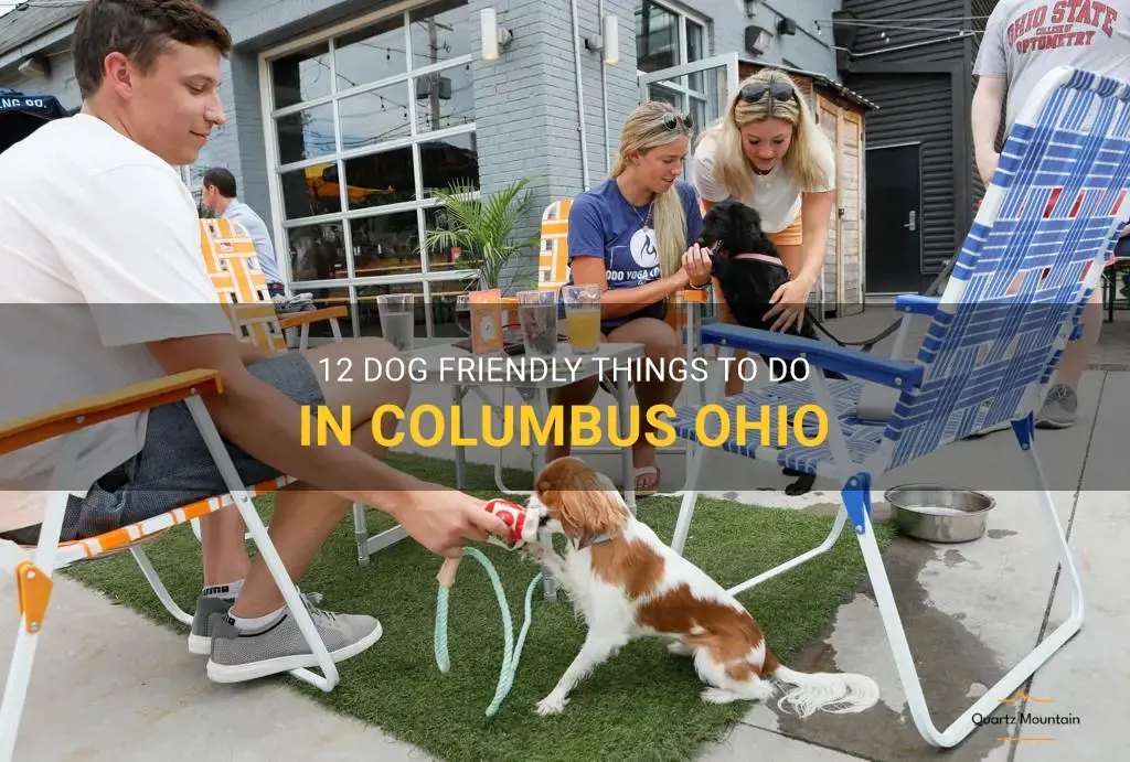 dog friendly things to do in columbus ohio