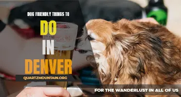 12 Awesome Dog Friendly Activities in Denver