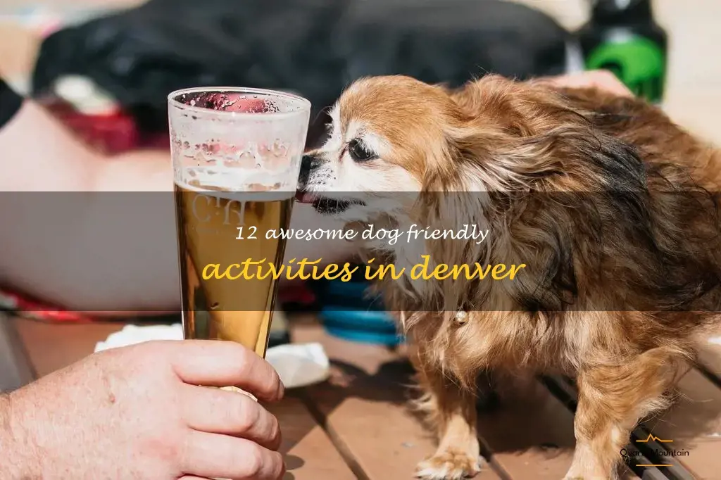 dog friendly things to do in denver