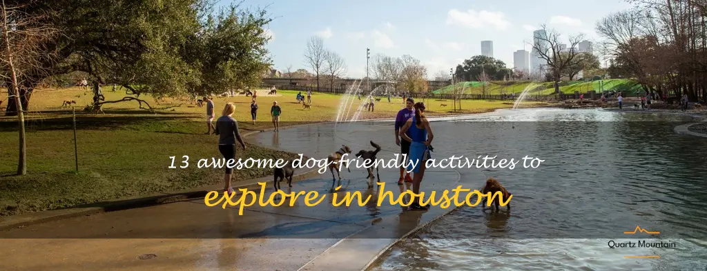 dog friendly things to do in houston