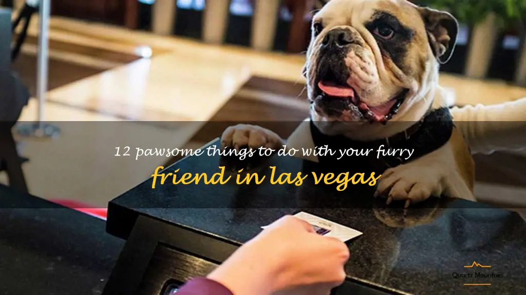 dog friendly things to do in las vegas
