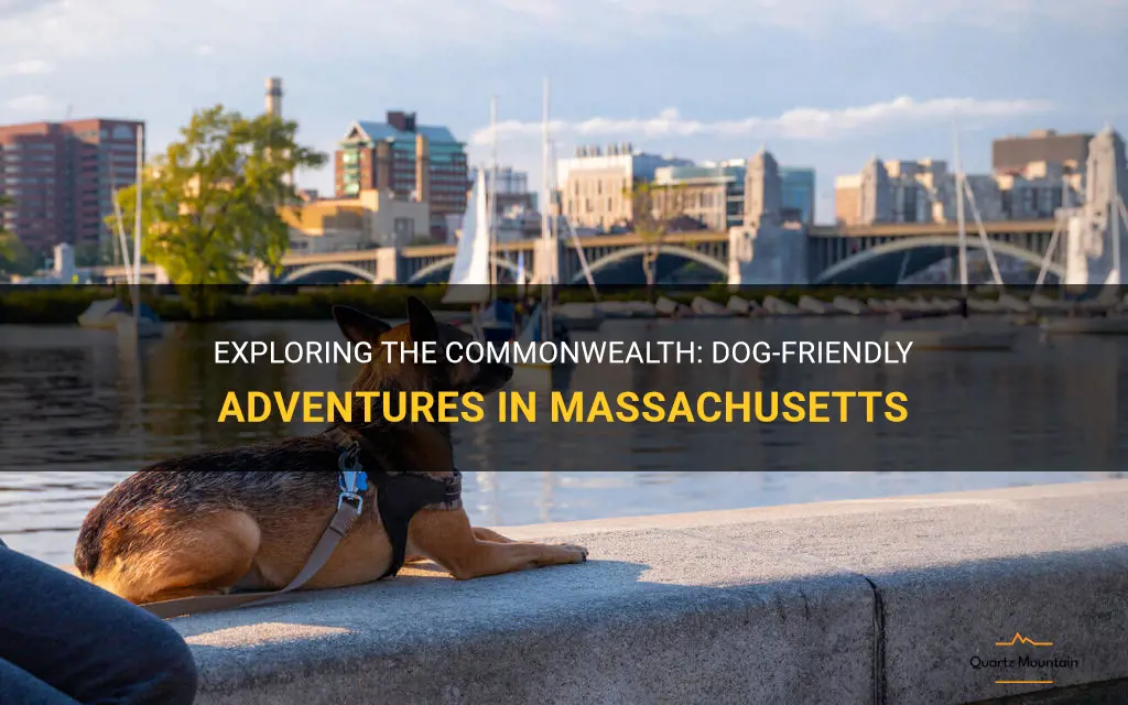 dog friendly things to do in massachusetts