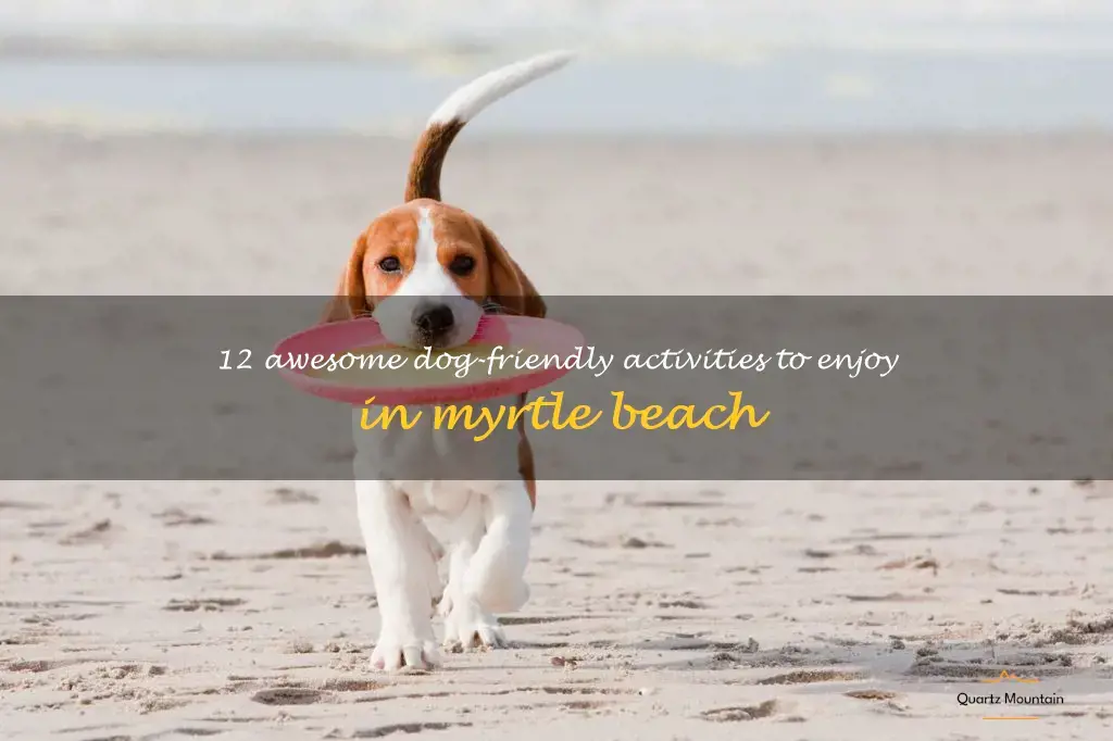 dog friendly things to do in myrtle beach
