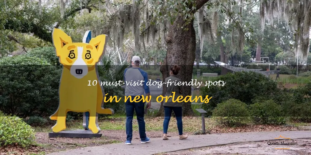 dog friendly things to do in new orleans