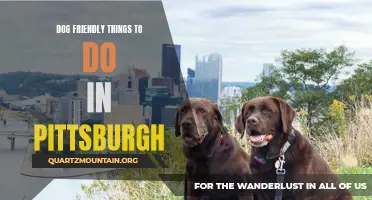 11 Fun Dog-Friendly Activities to Enjoy in Pittsburgh