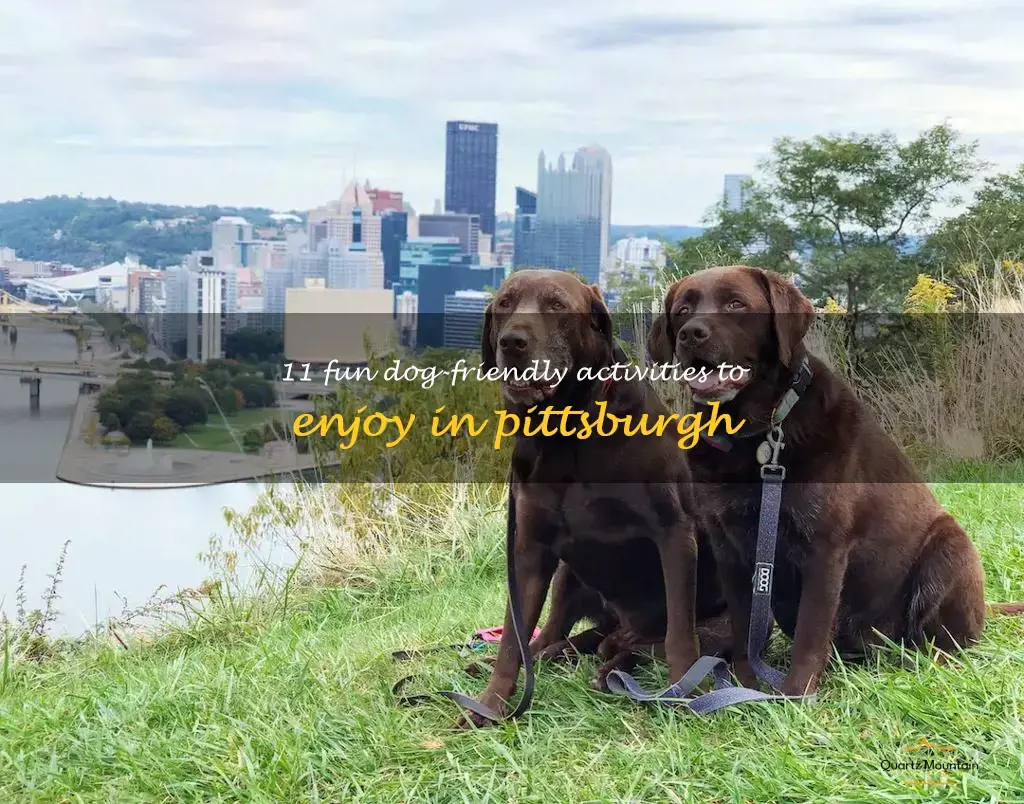 dog friendly things to do in pittsburgh