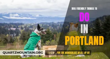 12 Fun Activities for Dog Lovers in Portland