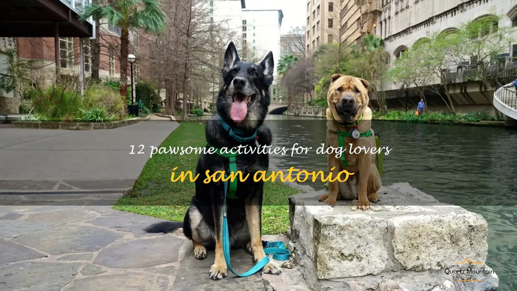dog friendly things to do in san antonio