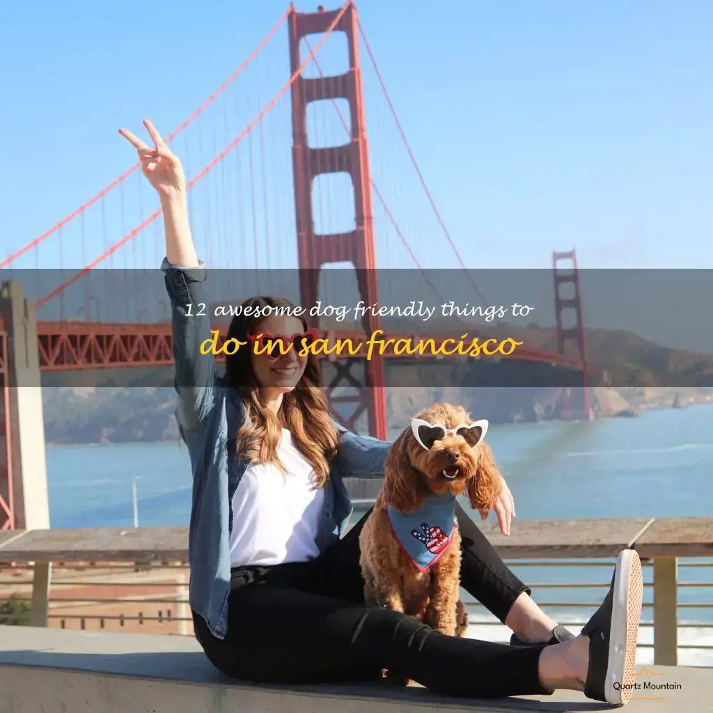 dog friendly things to do in san francisco