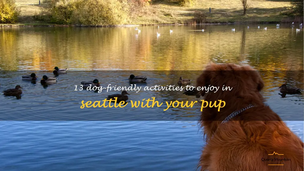 dog friendly things to do in seattle