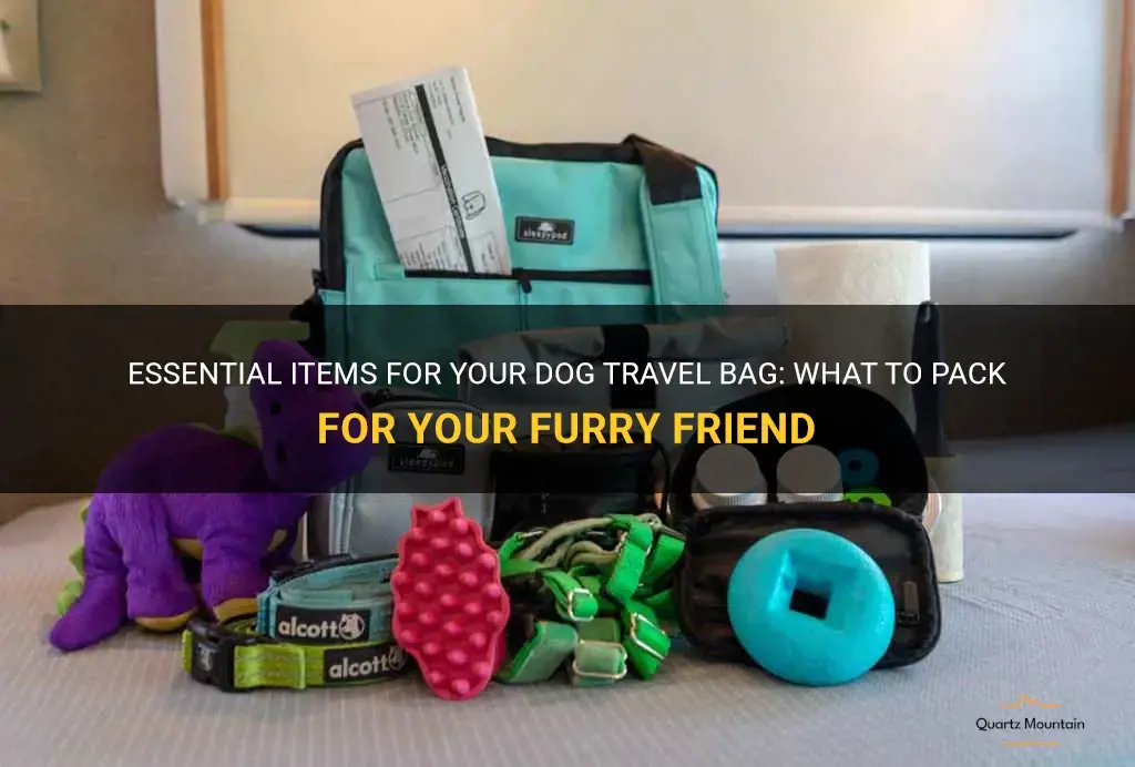 dog travel bag what to pack