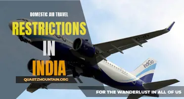 Understanding the Domestic Air Travel Restrictions in India