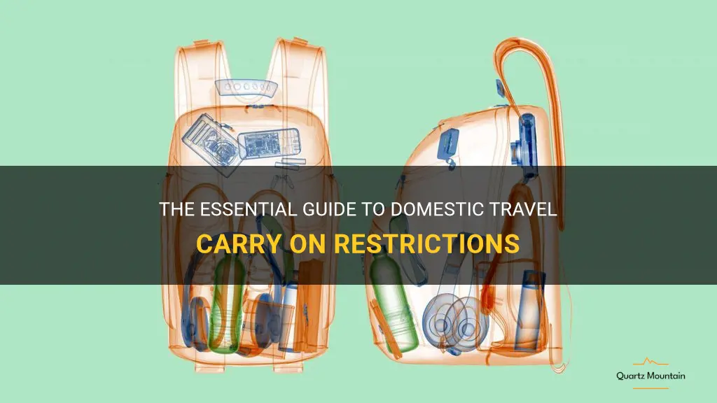 domestic travel carry on restrictions