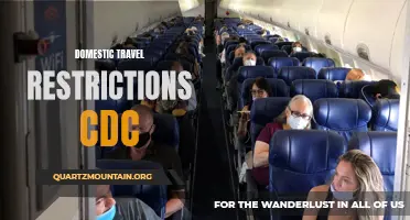 Understanding the CDC's Domestic Travel Restrictions and Guidelines