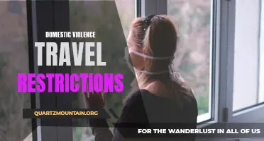 Exploring the Impact of Domestic Violence Travel Restrictions on Survivors
