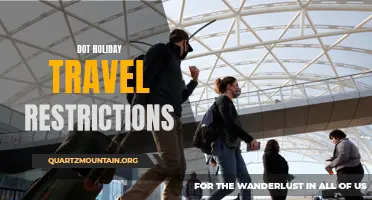 Navigating Holiday Travel Restrictions: What You Need to Know about the DOT's Guidelines