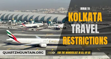 Dubai to Kolkata: Current Travel Restrictions and Guidelines