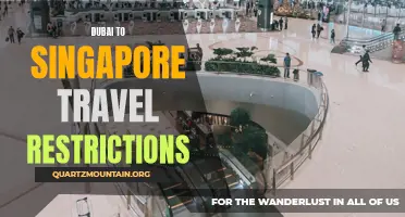 Navigating Travel Restrictions: What You Need to Know Before Traveling from Dubai to Singapore