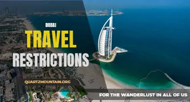 Dubai Travel Restrictions: What You Need to Know Before Planning Your Trip
