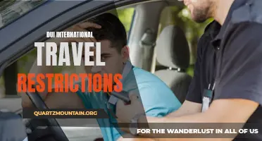 Exploring the Impact of DUI International Travel Restrictions