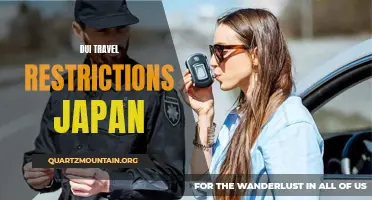 Understanding DUI Travel Restrictions in Japan