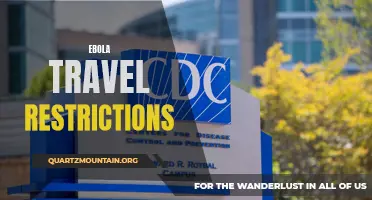 Exploring the Pros and Cons of Ebola Travel Restrictions