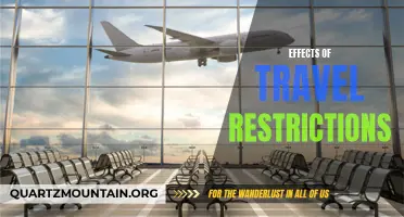 The Long-lasting Effects of Travel Restrictions: A Global Perspective