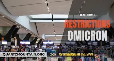 Egypt Implements Travel Restrictions in Response to Omicron Variant