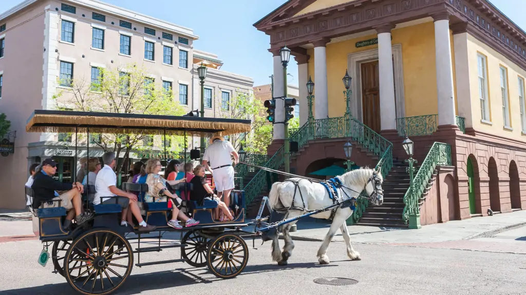 Explore Historic Downtown Charleston 20230629041450.webp