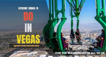 12 Insane Activities to Experience in Vegas