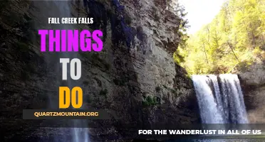 11 Fun Activities to Enjoy at Fall Creek Falls