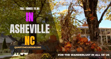 The Ultimate Guide to Fall Activities in Asheville, NC