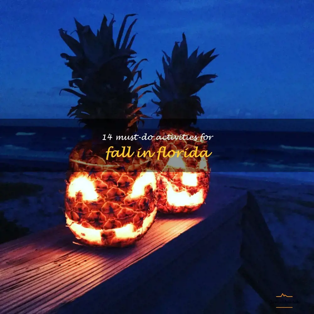 fall things to do in florida