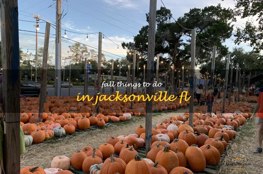 fall things to do in jacksonville fl