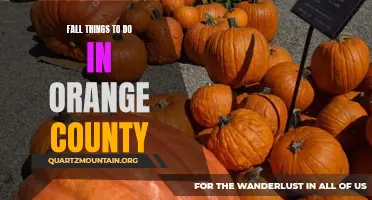 10 Fun Fall Activities to Check Out in Orange County