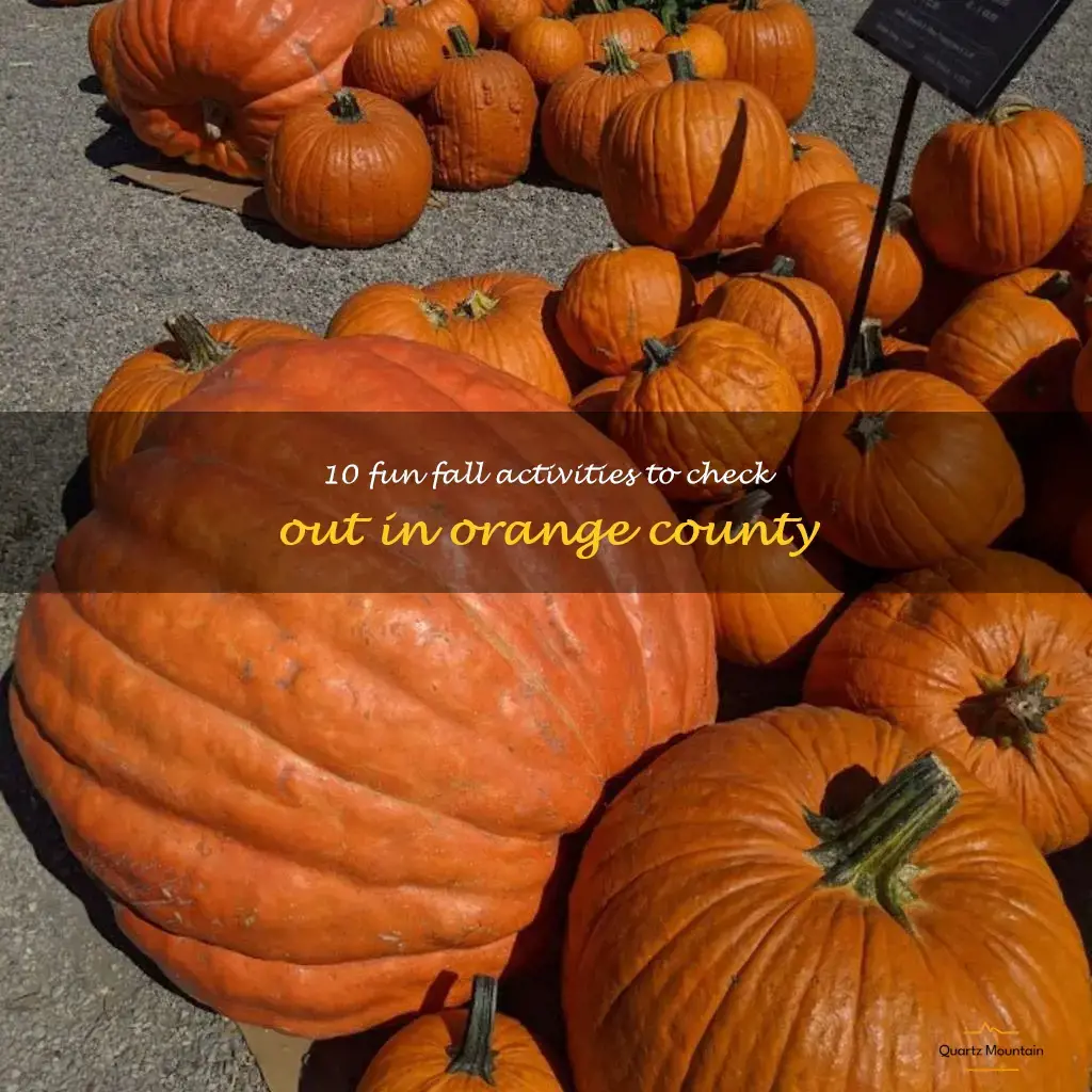 fall things to do in orange county
